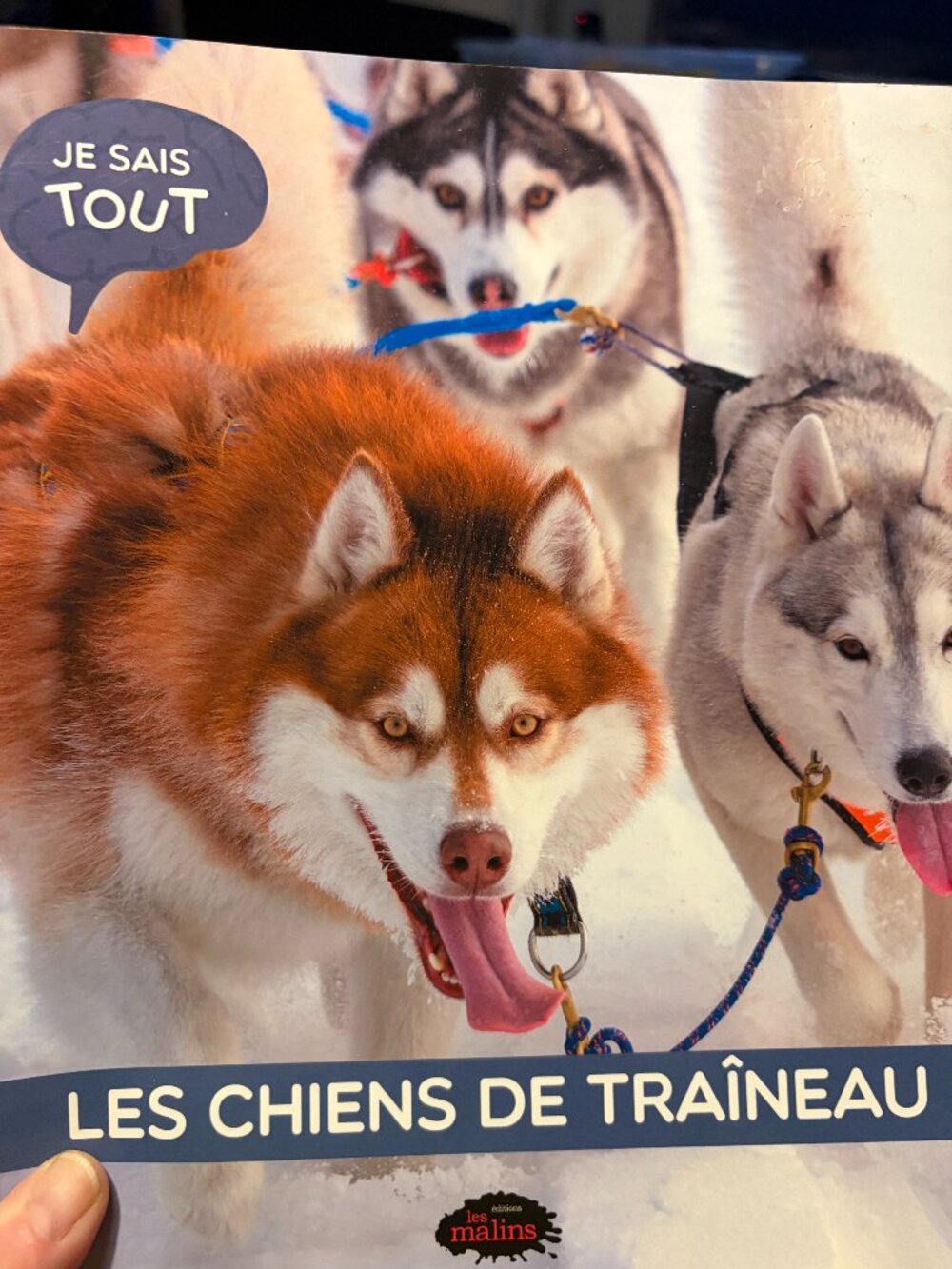 🐕 FRENCH Immersion Nature Book: Les Chiens de Traîneau Sled Dogs (Les Malins)